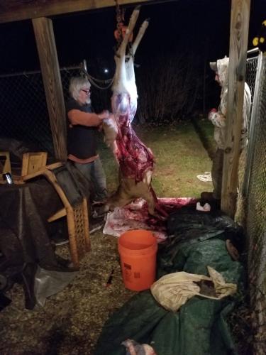 IMG_20221120_204543_01