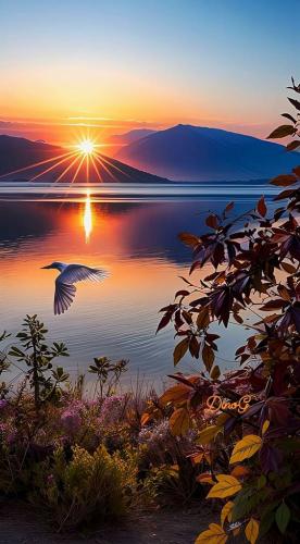 Sunrise over the lake