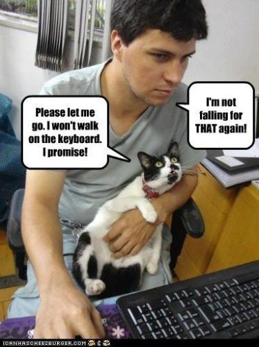 4c8ca86f4209dddb02889b05f78e880b