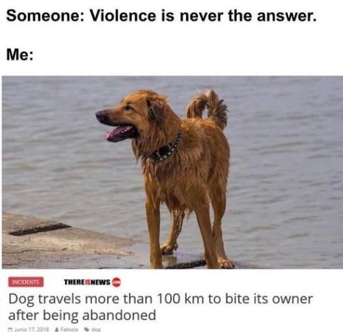 violence