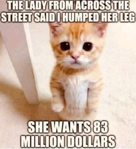 photo_2024-01-30_10-58-15