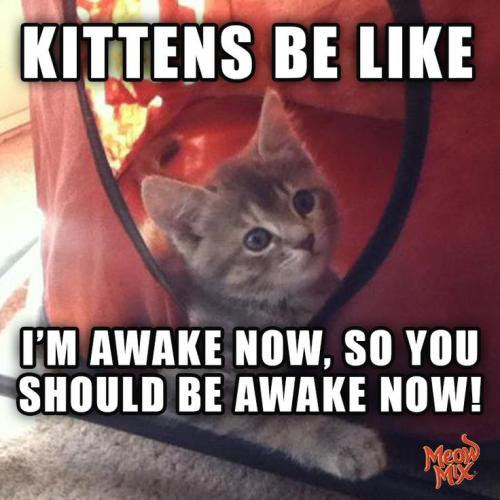 94a77c475e23eb88b94a917dd504c06d