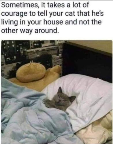 418430600_7509365809087908_8655725031368847999_n