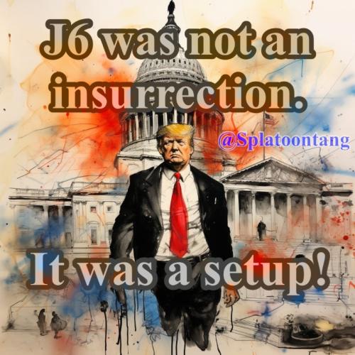 JAN6 INSURRECTION