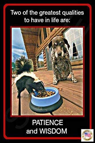 7be7873efc014fdcc4cb817fe142f742