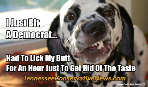 I-Just-Bit-A-Democrat