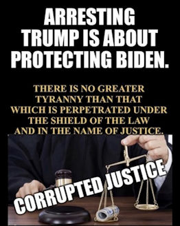 criminal activity157