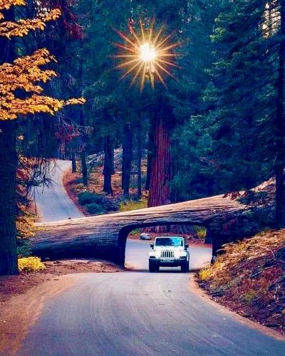 625F715C-035F-491F-9095-2643EB2D368D