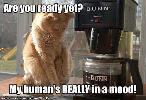 05e19039f6457483d5738ed2ae18cb01