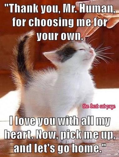 a4bf7dab2dafa9149f9cc83f63bba1d4