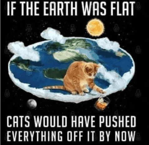 if-earth-flat-cats-would-have-pushed-everything-off-by-now
