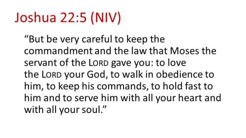 Joshua 22_5