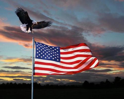 4ec0881bf909c84518f06639dd06f0e0