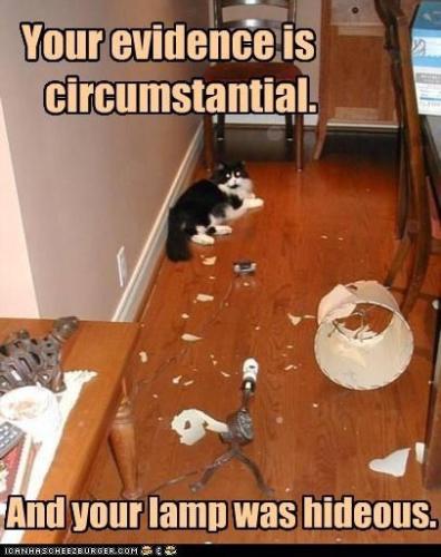 2fe552d05b603e5cc077ab8dcfc45503