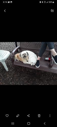 Screenshot_20240125-061437_Gallery