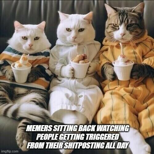 sngine_3cac77b889bf98af6db5f4028c30f15b