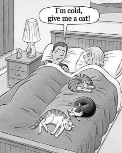 419722321_705844054995671_955754278505471781_n