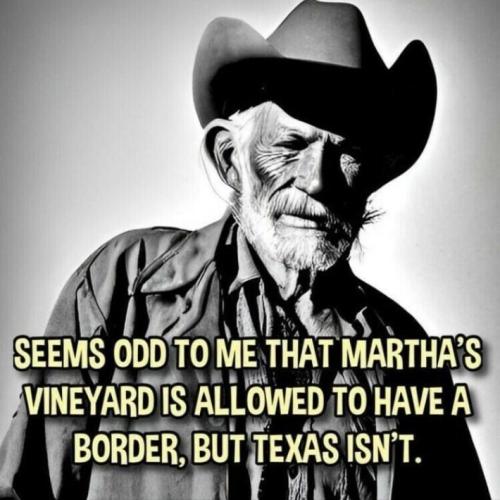 sngine_14623a11a618dbb7b3c22862d84b2f52