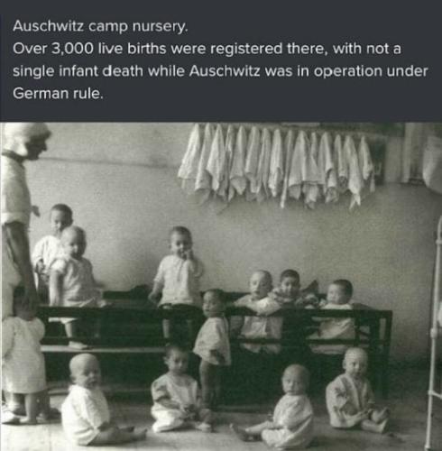 IMG_20240121_135042_596