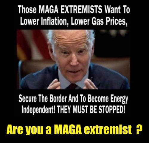 Maga extremist