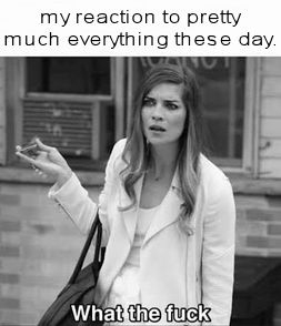 my reaction to most everything these days02