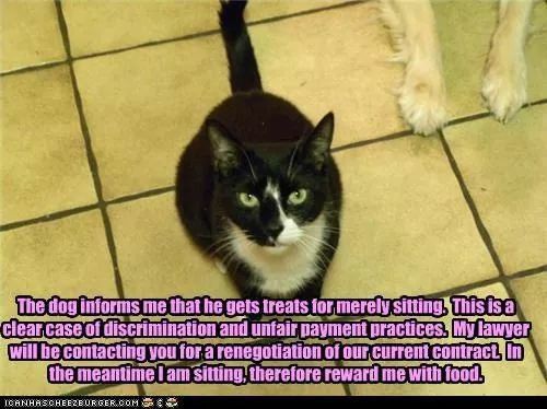 e60463636993d57561f6659c23c26e2f