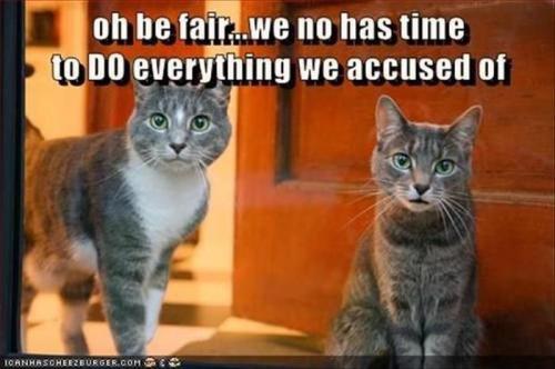 1ce7ad3dc973465cebc144963016d697