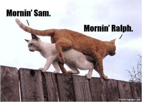 2a31038389af2a7c146f30610999664b