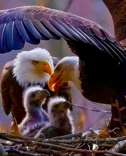 0F83A251-3768-4BC4-9D39-5EFE9EE81434