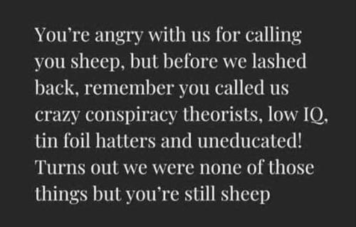 5302cda3019c9a4d0c92380c72b5c386