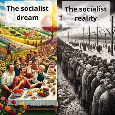the dream