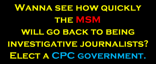 investigative journalists