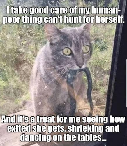 bbdbc56b2e5d64a96206a81a7326fe1a