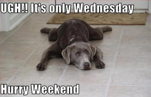 968b5ebe59b8b7ff3b2edf3c3a8989a3