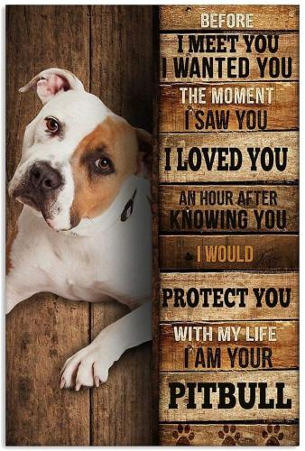 6e186fe760f35c75067aea1175dd76a2