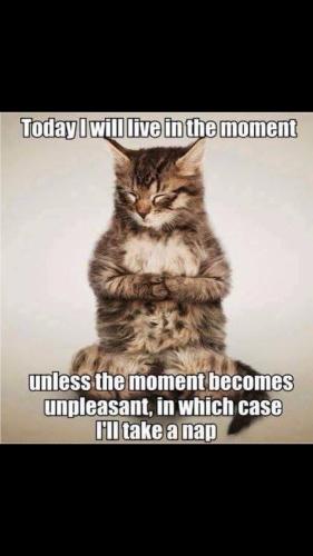 656ae59f2c39ccde085eb9773e23f1f0