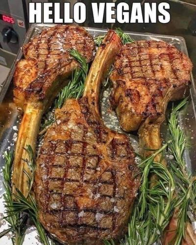 FB_IMG_1704842227739