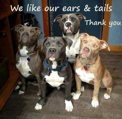 816178f12dcc0b9fac639179eeb67a80