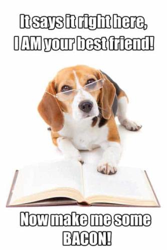 80a814235fd56c844d1b66c82f57c241