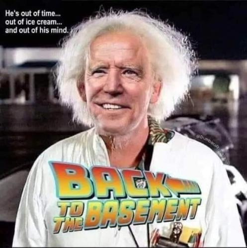 back to the basement