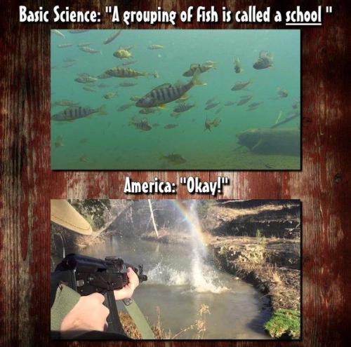 9c1ae436-77fc-416e-afff-fc28ed185f34