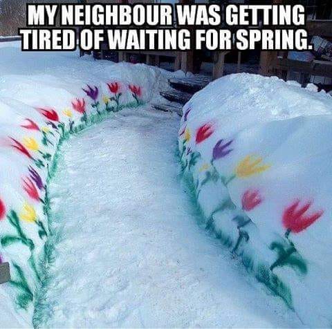 neighbours lawn