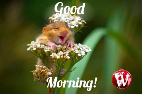 Polish_20240102_083810467