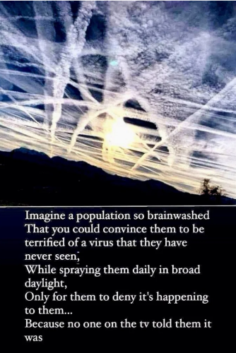 Virus vs Chemtrails