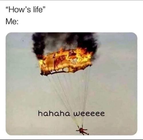 FB_IMG_1706375256320