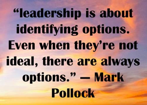 1-Leaders Create Options