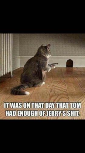 732a80cc2d8d37ca39317e761574b6c2