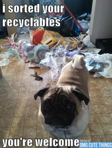 I sorted your recyclables