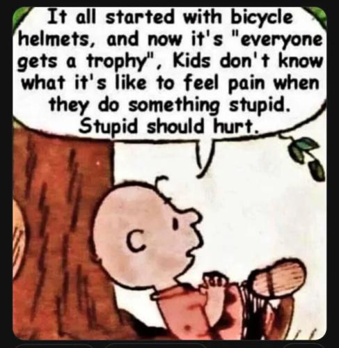 sngine_37ea23f0981872bafac3751e03481f6c