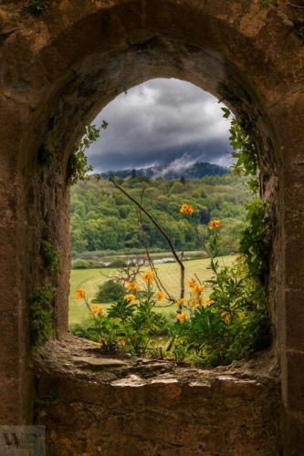 Nature Paradise View